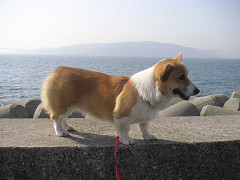 Resize of PICT1628_thumb.jpg